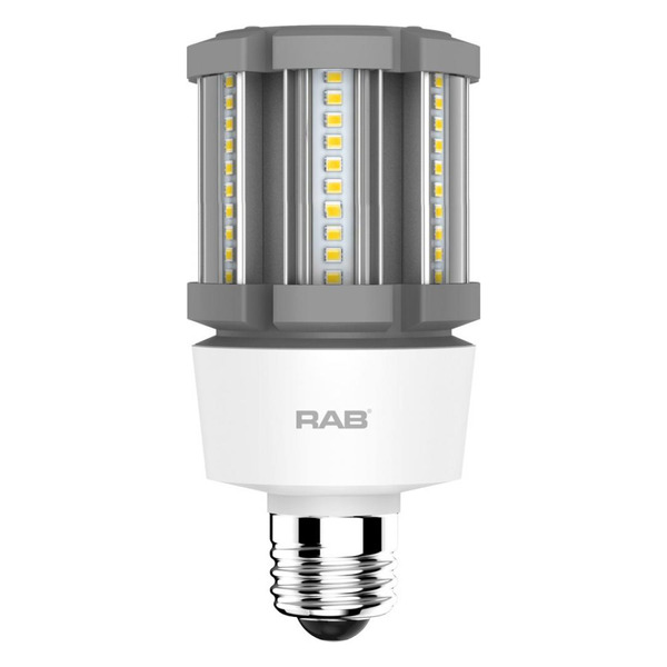 RAB LIGHTING - HID-12-E26-850-BYP-PT