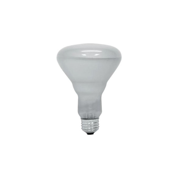 GE LIGHTING/LAMPS - 65R30/FL-130