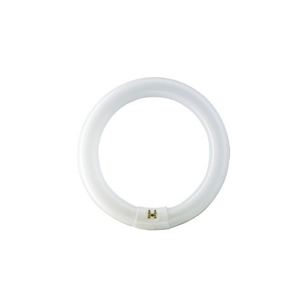 PHILIPS LIGHTING/LAMPS - FC8T9/COOL WHITE PLUS 391169