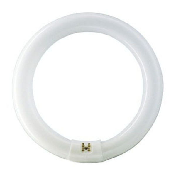 PHILIPS LIGHTING/LAMPS - FC12T9/COOL WHITE PLUS 391177